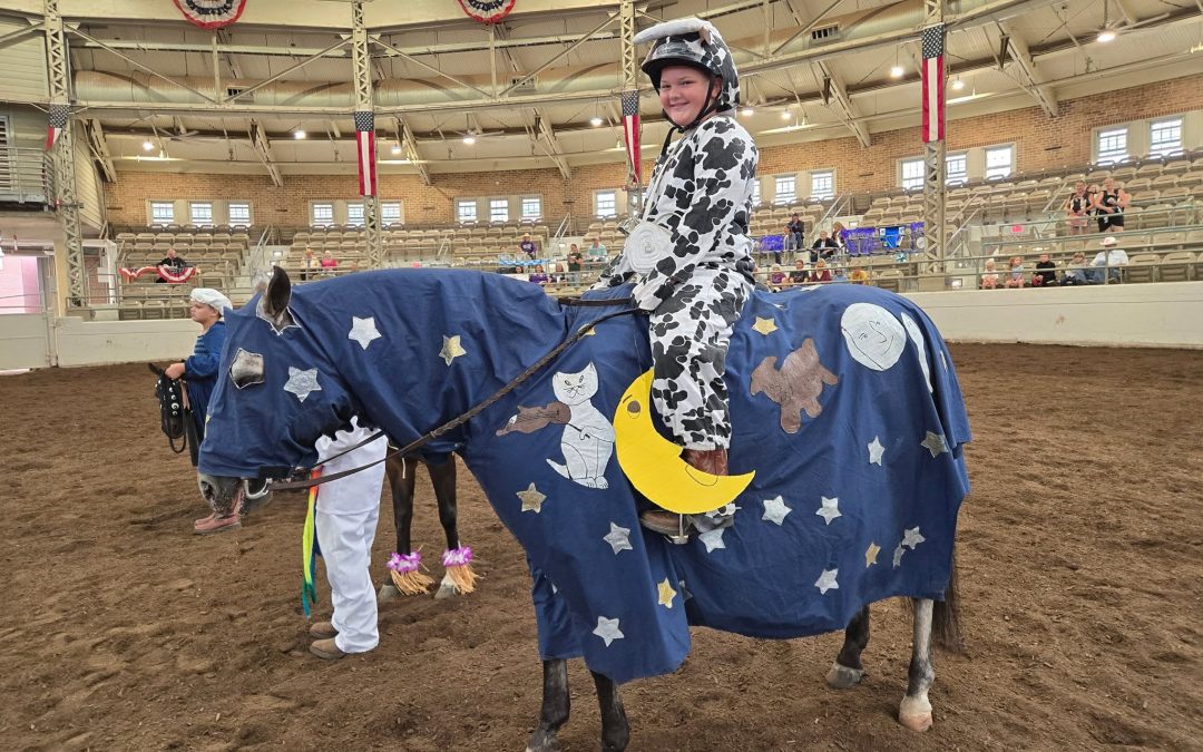 Illinois State Fair Junior Horse Show