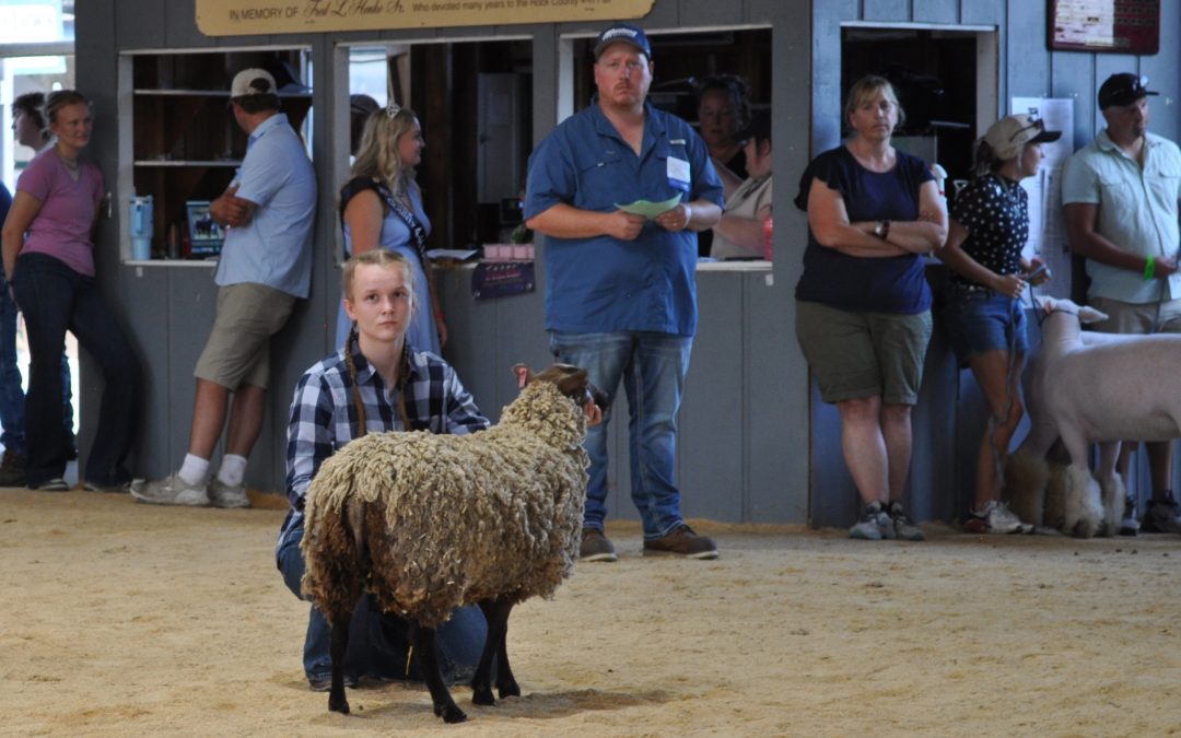 Scene from the 2026 Rock County 4-H Fair